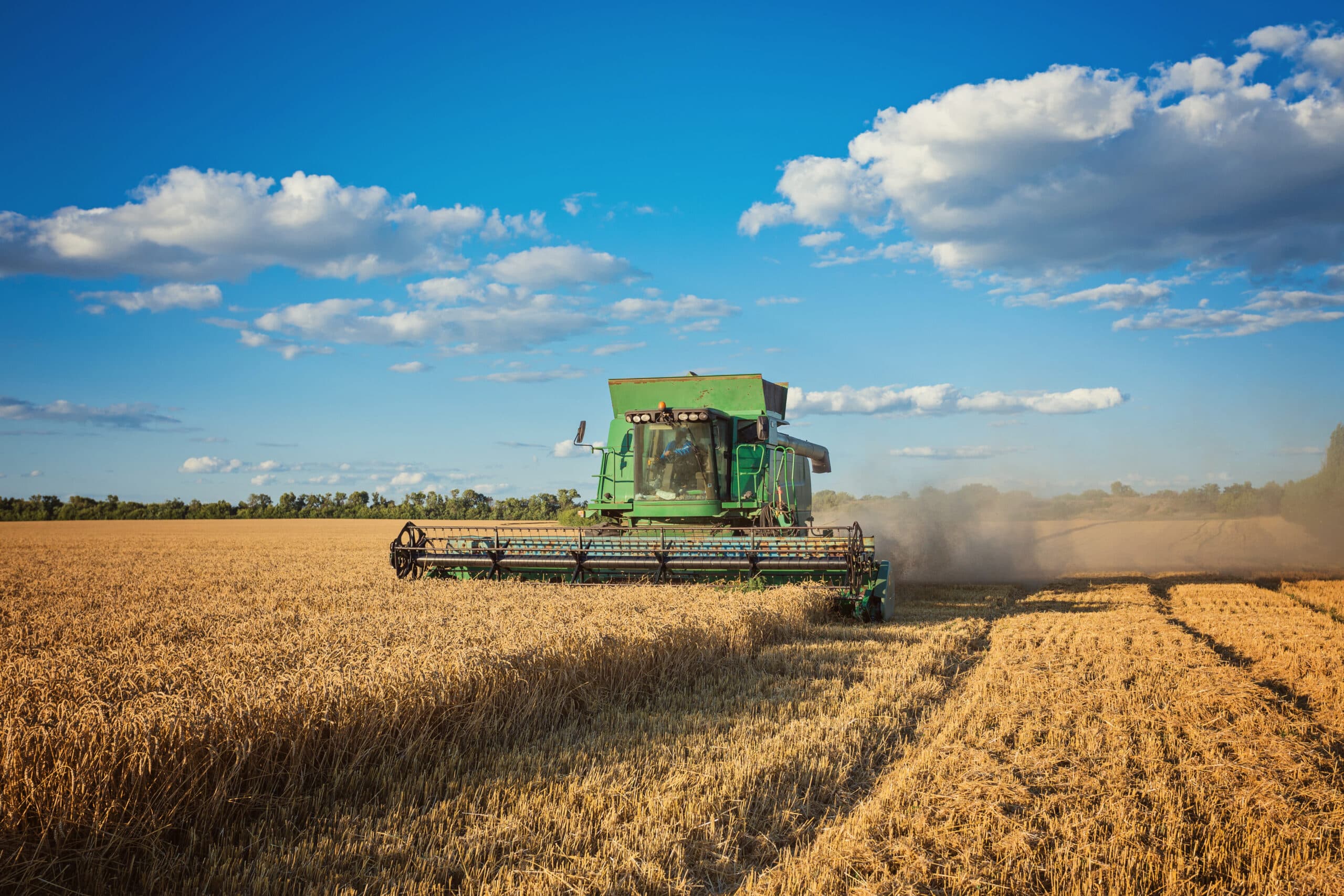 O desempenho do agronegócio fez a Confederação Nacional da Indústria (CNI) elevar a projeção de crescimento da economia neste ano. (foto: freepik)