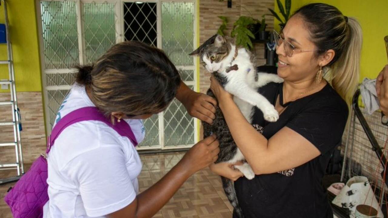 Mais de 125 mil animais já foram imunizados contra a raiva em Manaus em 2025