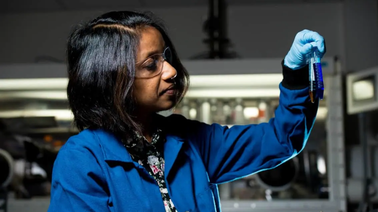 20250118 CNPQ PROFIX SITE