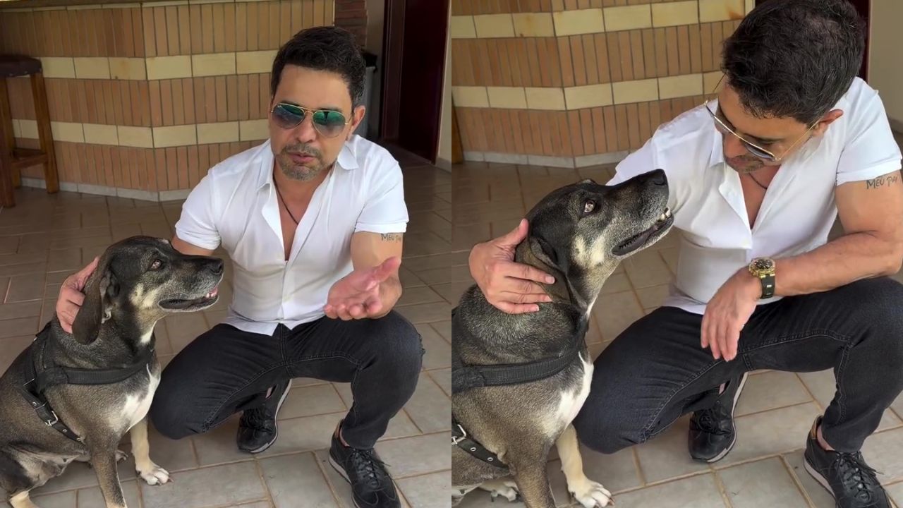 Zézé Di Camargo diz que tem santuário em fazenda para cuidar de cachorros abandonados