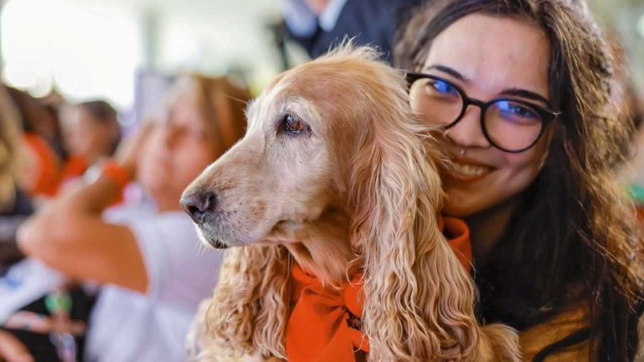 Registro nacional de pets atinge marca de 1 milhão de animais cadastrados