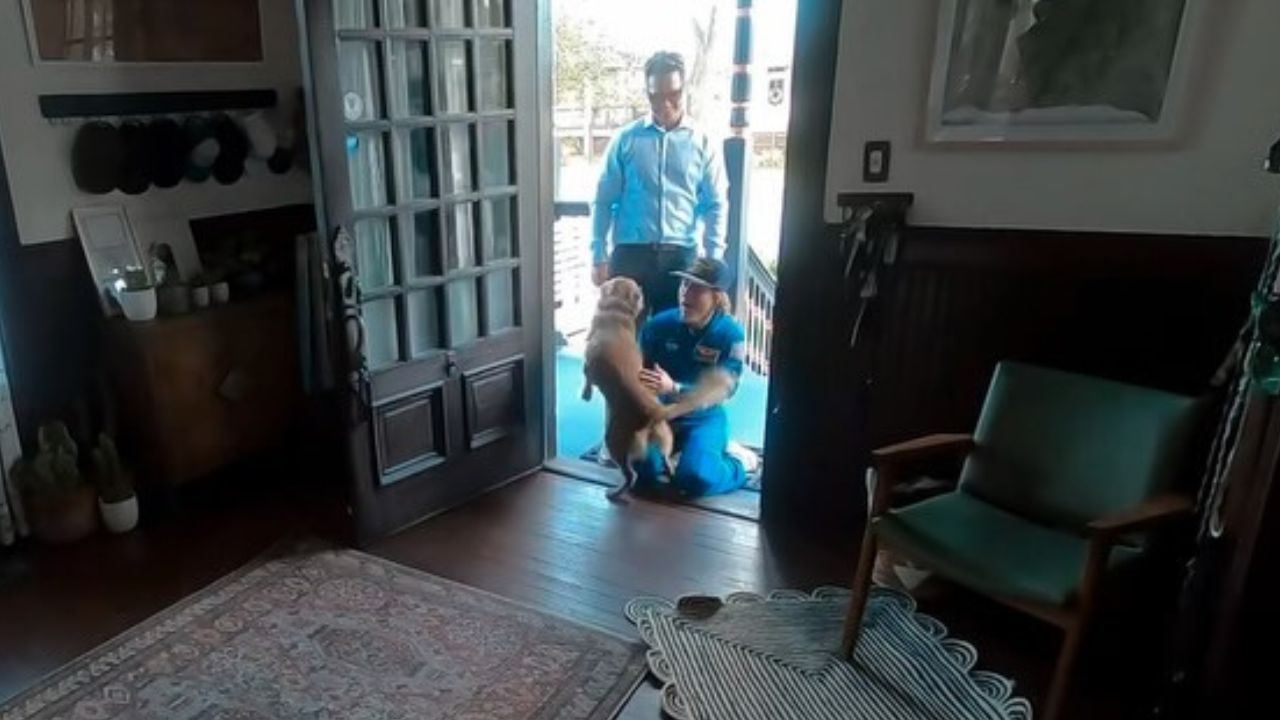 Após dez dias em missão, astronauta da Artemis II grava reencontro com cachorro de estimação