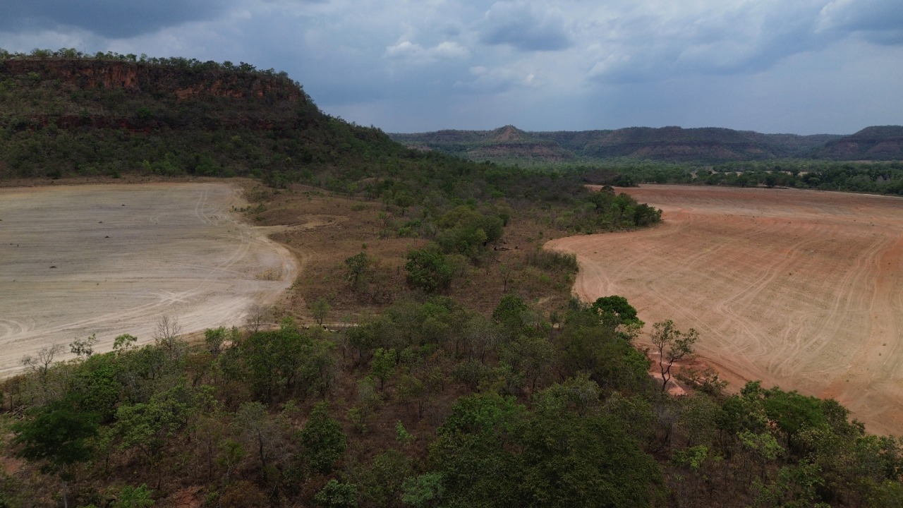 Desmatamento no Brasil registra queda de 20,6% em 2025, aponta MapBiomas