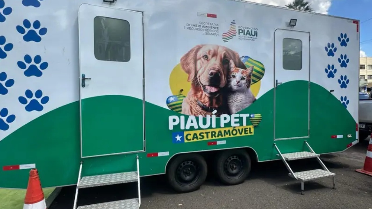 Governo do Piauí lança Pacto pelos Animais com meta de 20 mil castrações