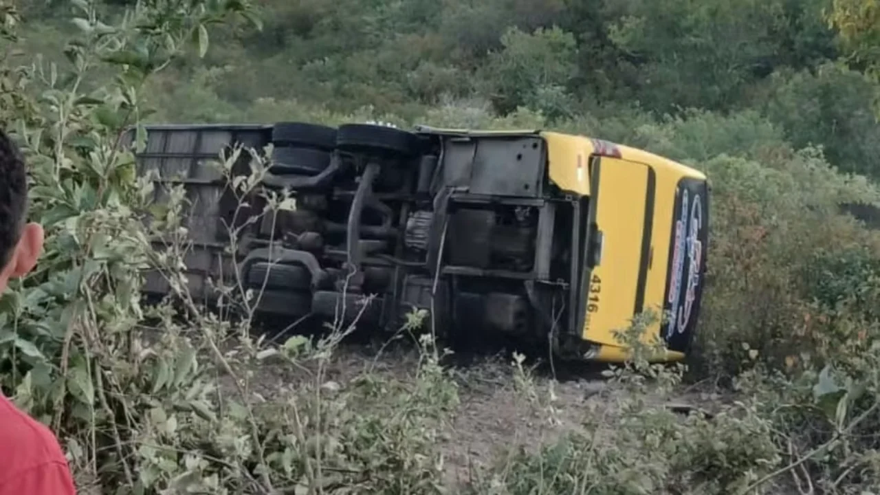 20260707 ÔNIBUS ROMARIA