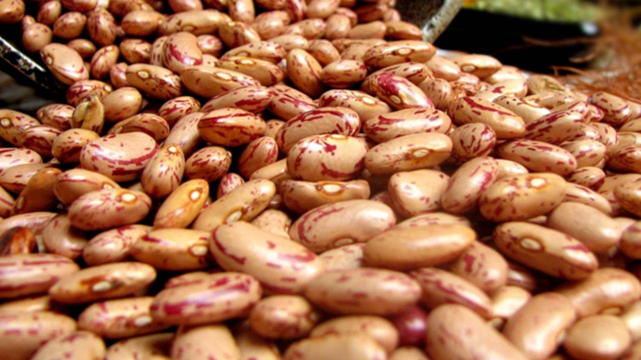 O cenário de instabilidades climáticas têm influenciado as safras e, consequentemente, o mercado
